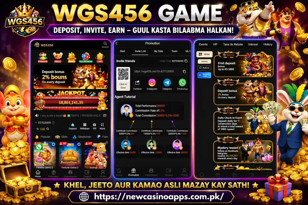 WGS456 Game