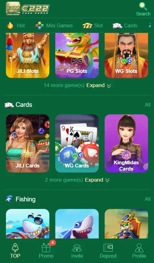 C222 Game