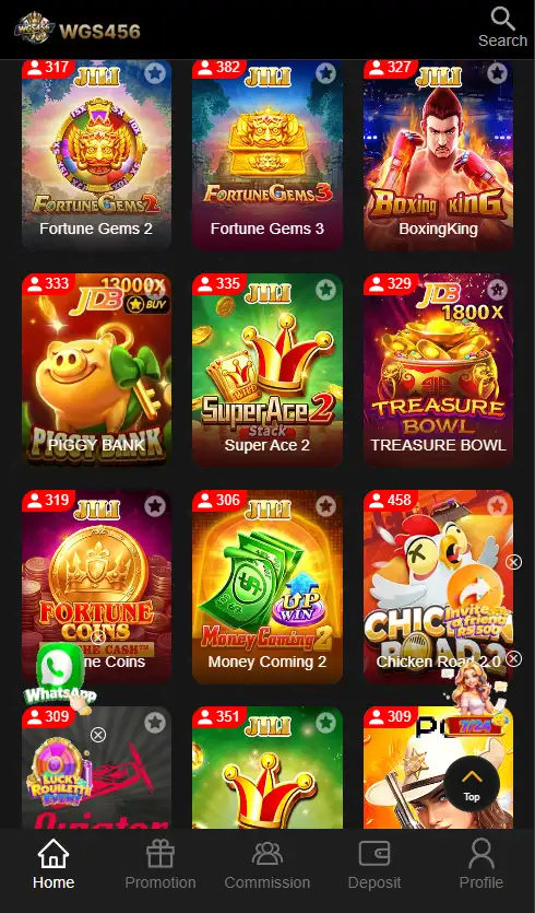 WGS456 Game