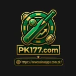 PK177 Game Official Featured Image