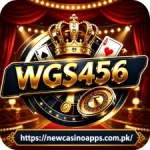 WGS456 Game