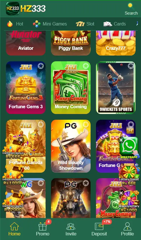 HZ333 Game