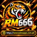 RM666 Game