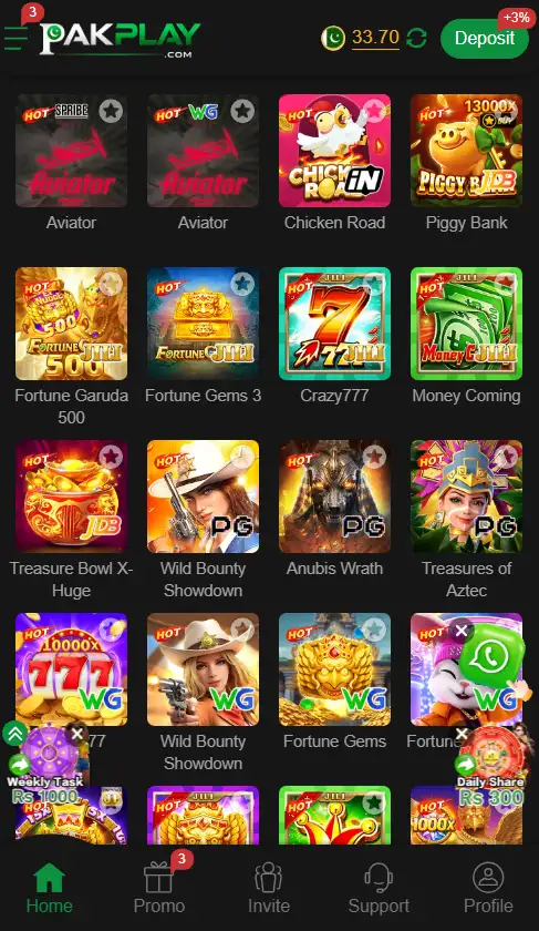 PAKPLAY Game
PAK PLAY Game